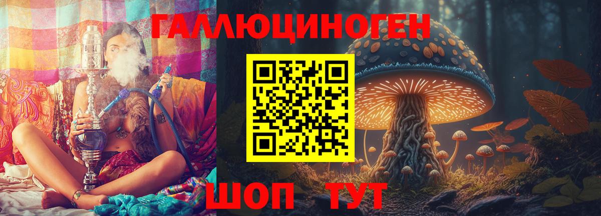 Златоуст  даркнет сайт  Вход с VPN  Галлюциногенные грибы GOLDEN TEACHER 